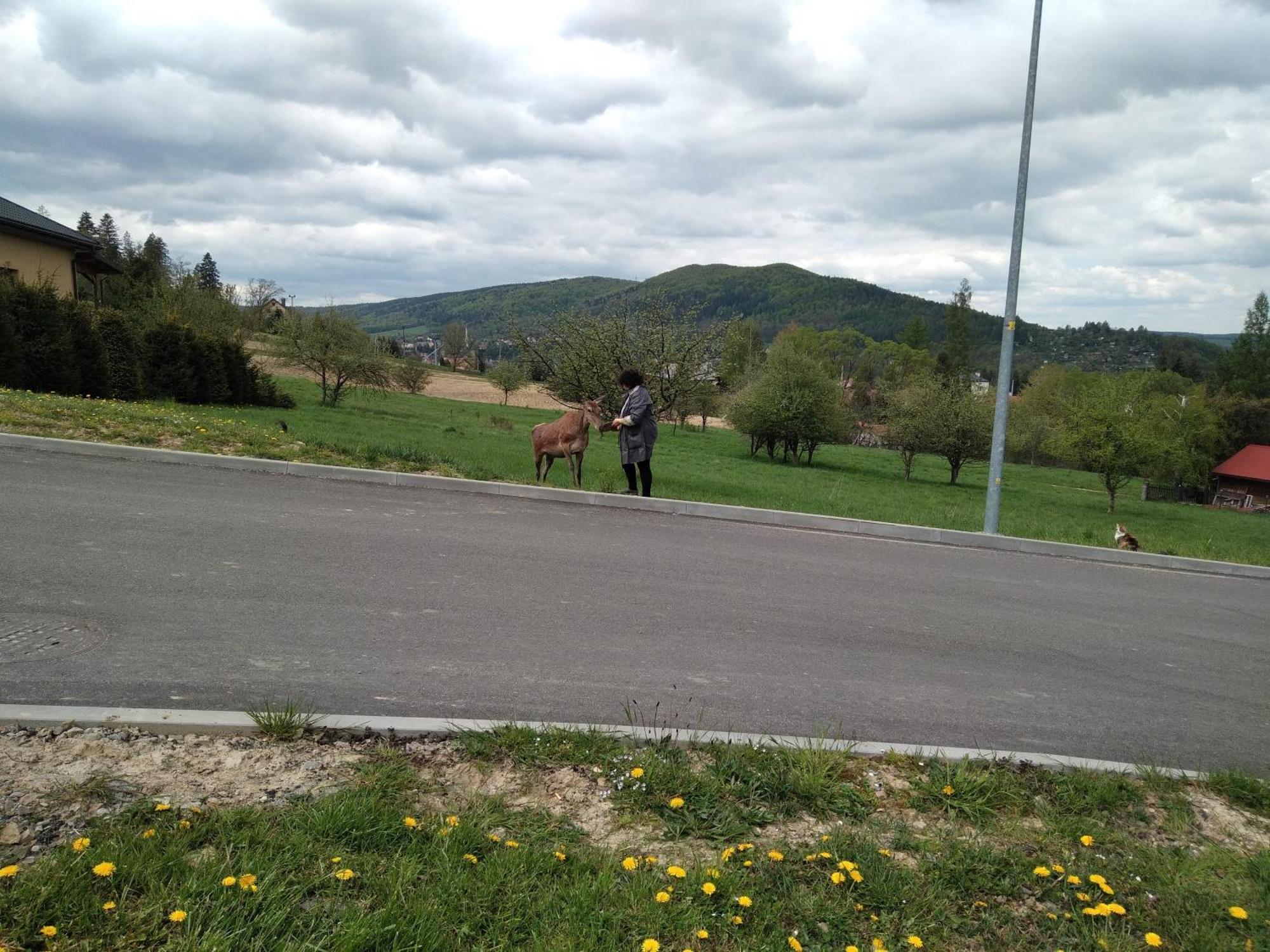 Ostoja Gromadzyn Διαμέρισμα Ustrzyki Dolne Εξωτερικό φωτογραφία